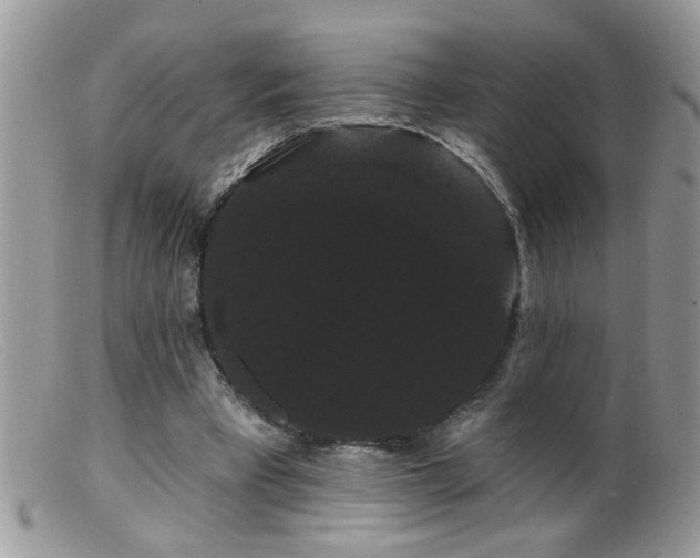 X0000099380393200805151623