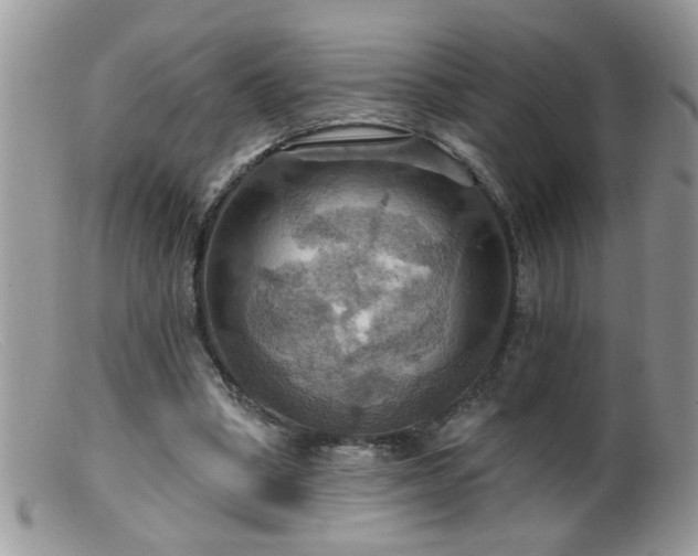 X0000099380394200805151623