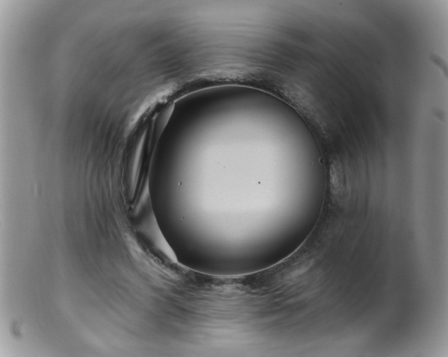 X0000099380396200805151623