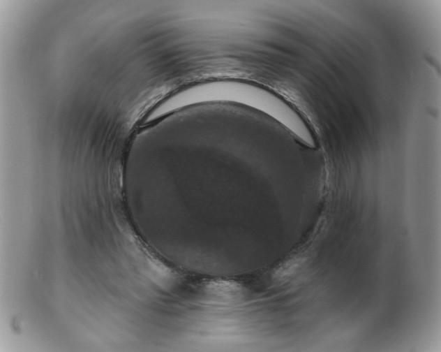 X0000099380397200805151623