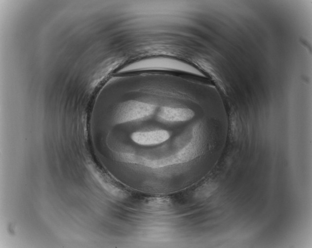 X0000099380398200805151623