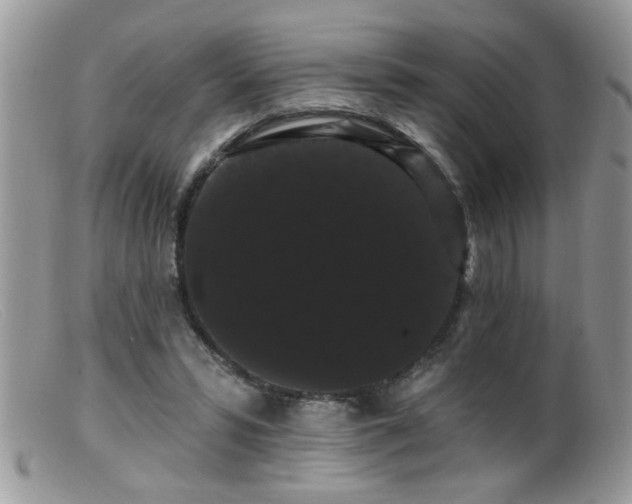 X0000099380399200805151623