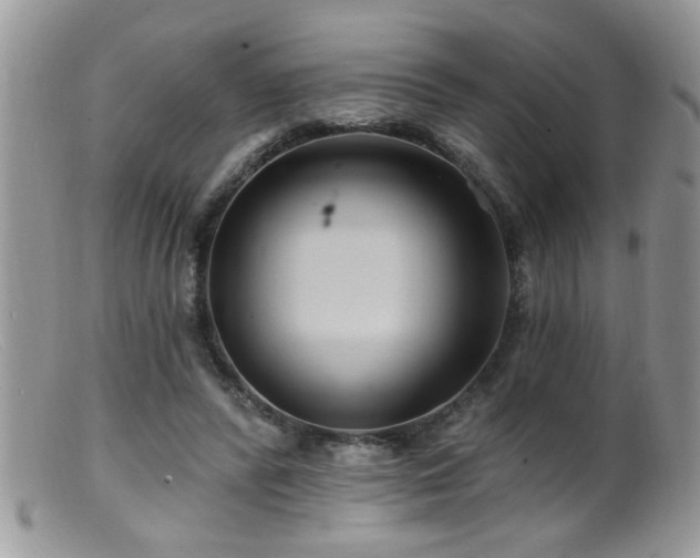 X0000099380400200805151623