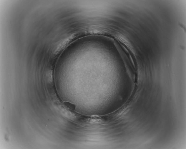 X0000099380401200805151623