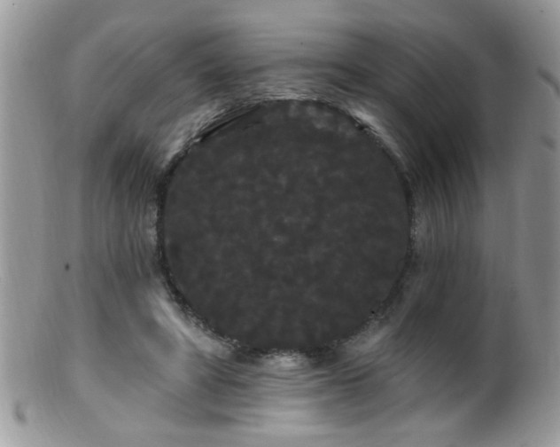 X0000099380402200805151623