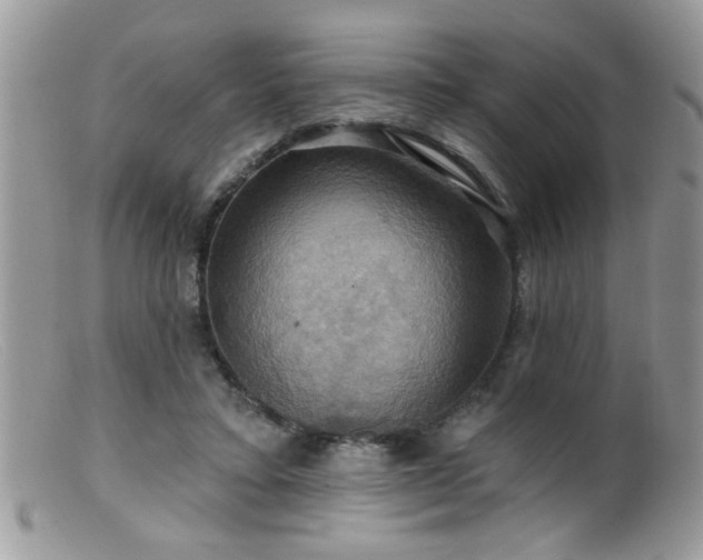 X0000099380403200805151623