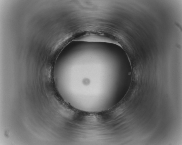 X0000099380404200805151623