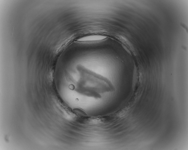 X0000099380405200805151623