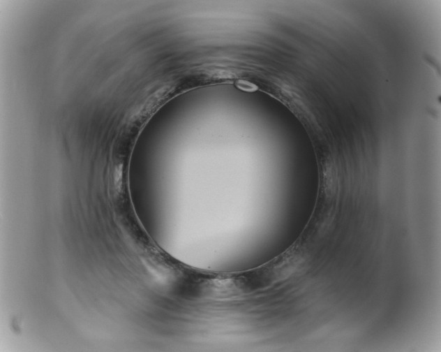 X0000099380406200805151623