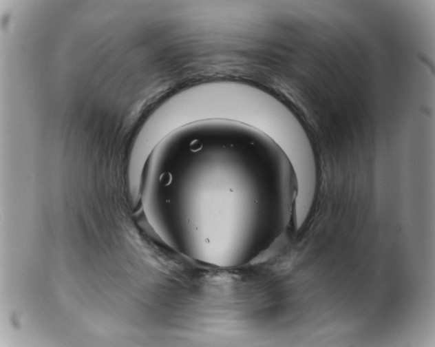 X0000099380407200805151623