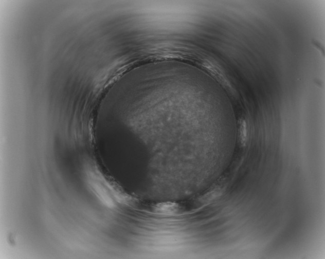 X0000099380410200805151623