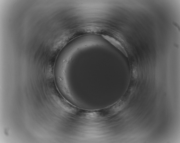 X0000099380411200805151623