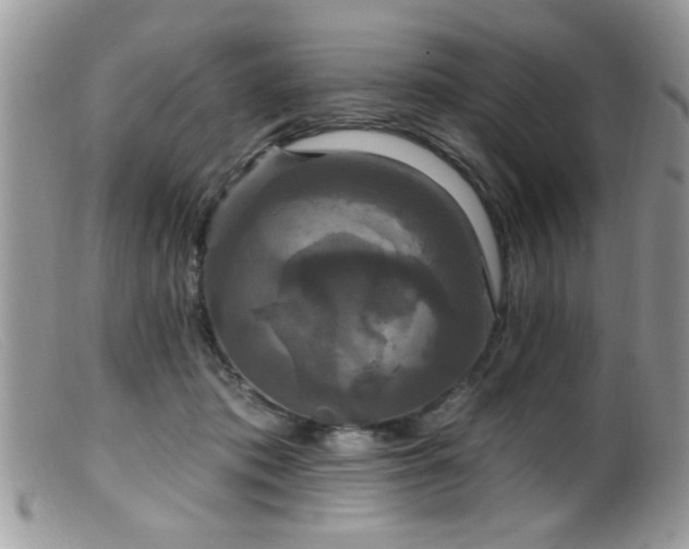 X0000099380413200805151623