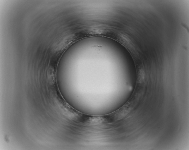 X0000099380414200805151623