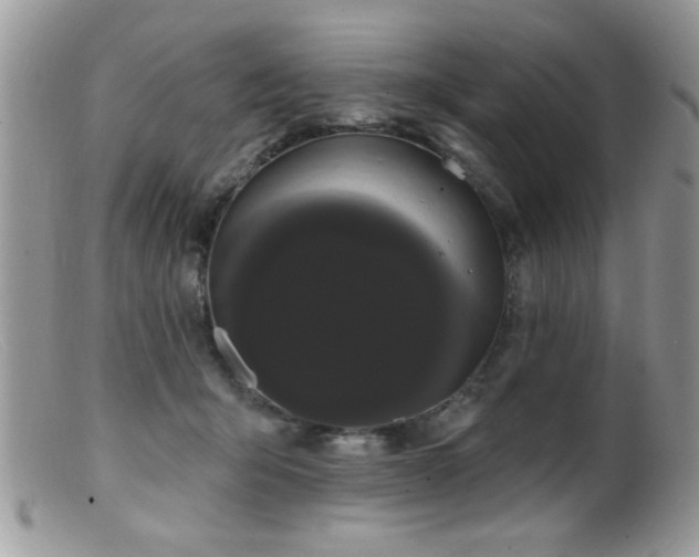 X0000099380415200805151623