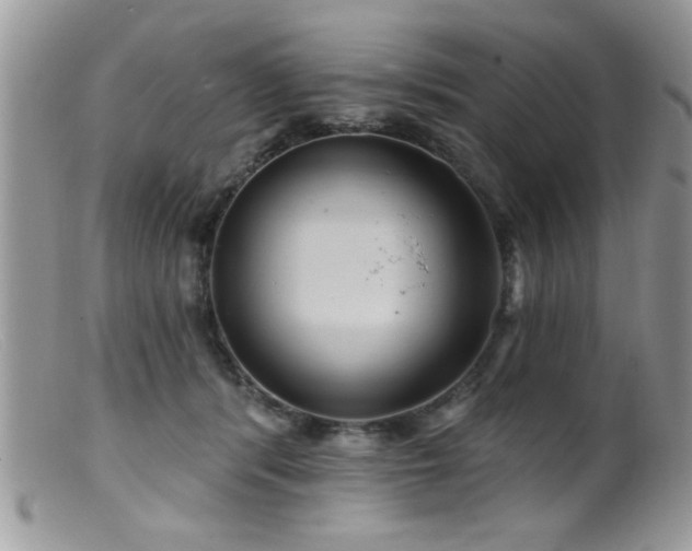 X0000099380416200805151623