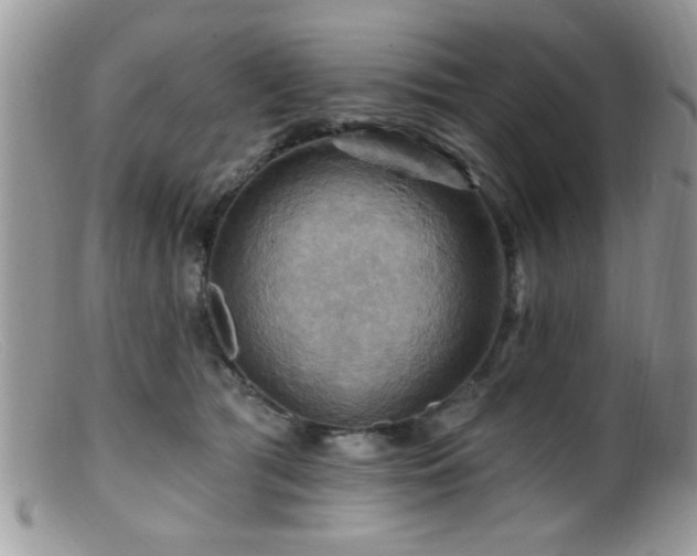 X0000099380417200805151623