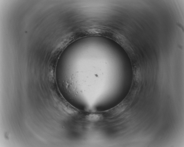 X0000099380418200805151623