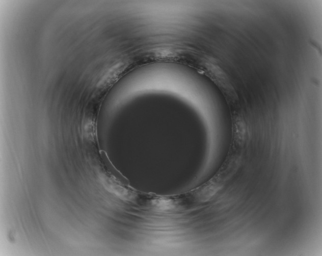 X0000099380419200805151623