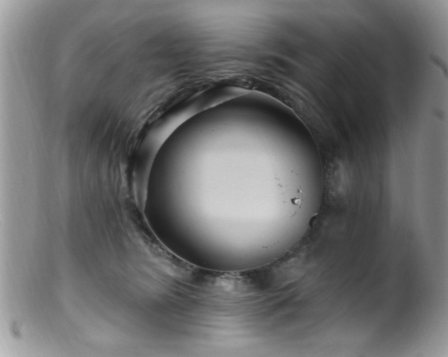 X0000099380420200805151623