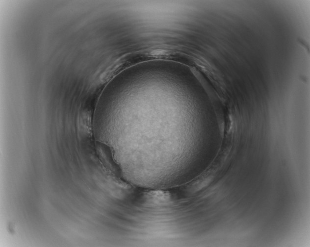 X0000099380421200805151623