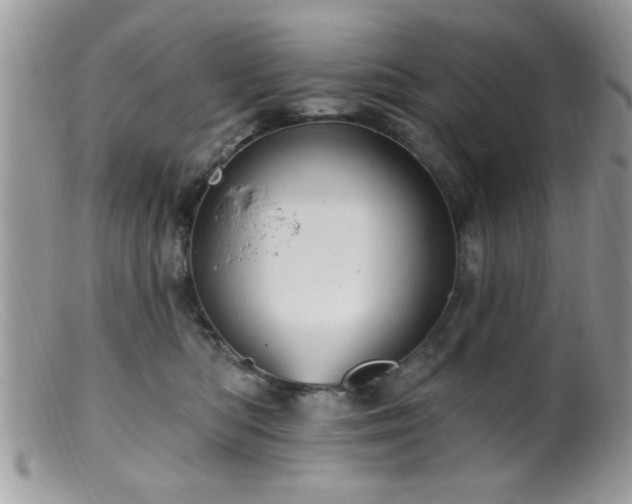 X0000099380422200805151623