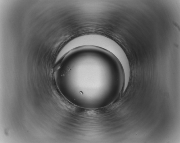 X0000099380423200805151623