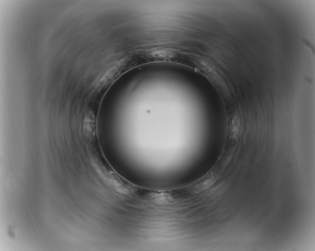 X0000099380424200805151623