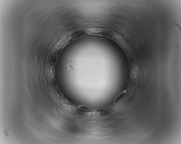 X0000099380426200805151623