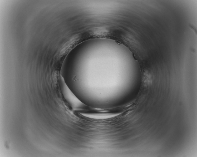 X0000099380428200805151623