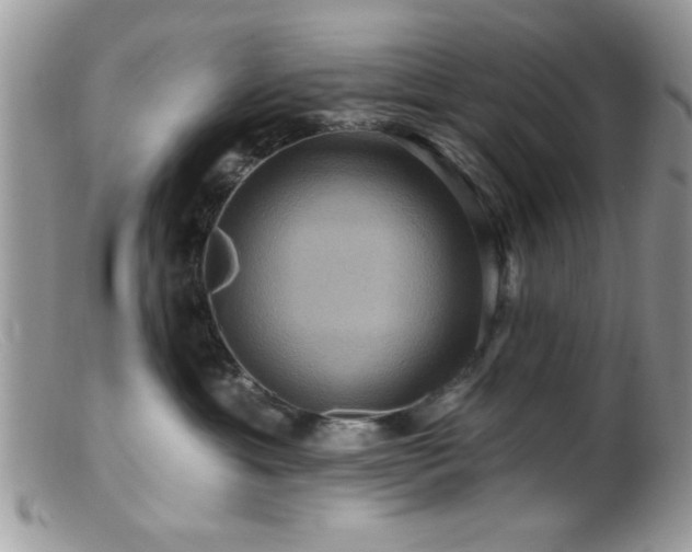 X0000099380429200805151623