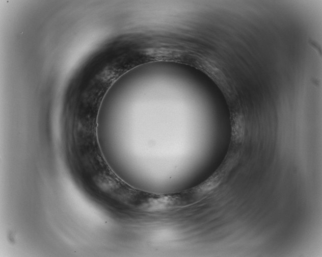 X0000099380430200805151623