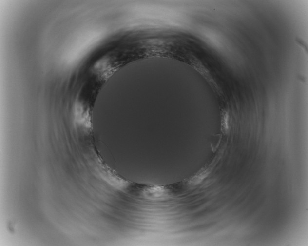 X0000099380431200805151623