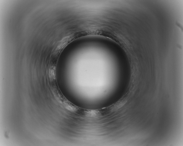 X0000099380432200805151623