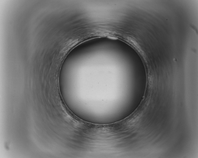 X0000099380433200805151622