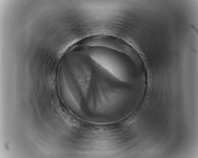 X0000099380434200805151622