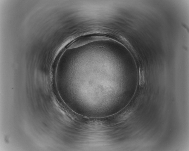 X0000099380435200805151622