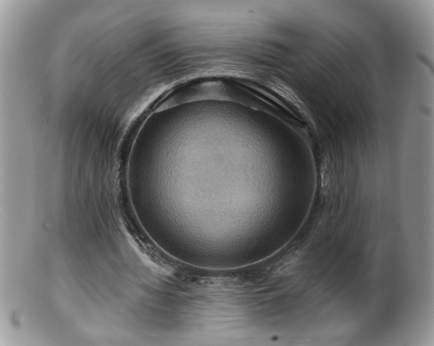 X0000099380436200805151622