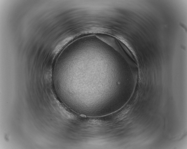 X0000099380437200805151622