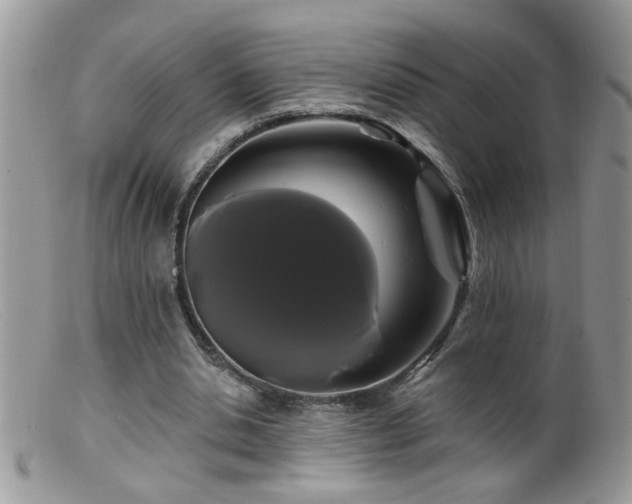 X0000099380438200805151622