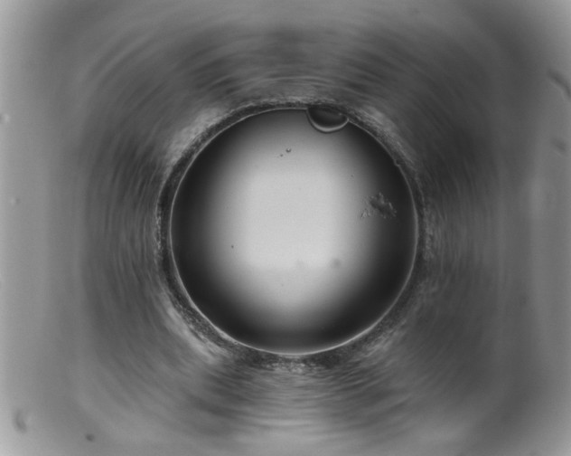 X0000099380439200805151622