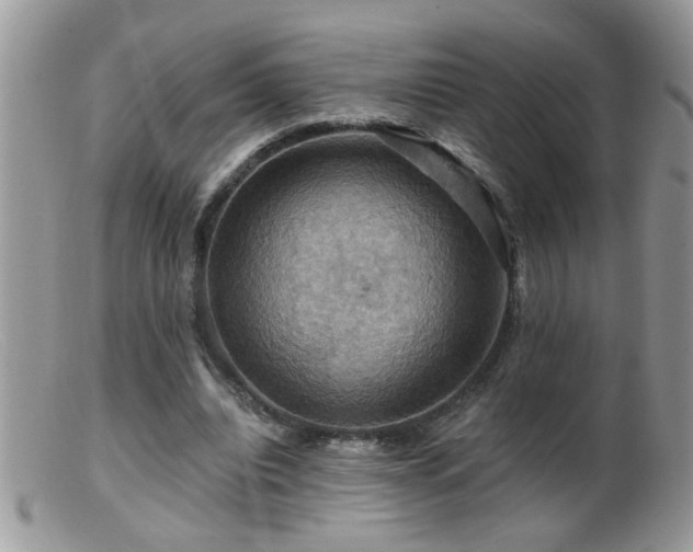 X0000099380440200805151622