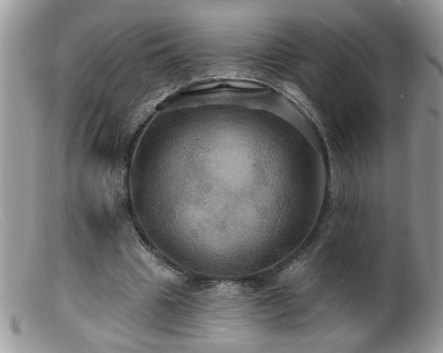 X0000099380441200805151622