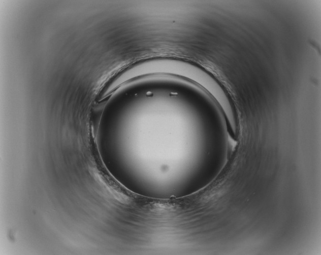 X0000099380442200805151622