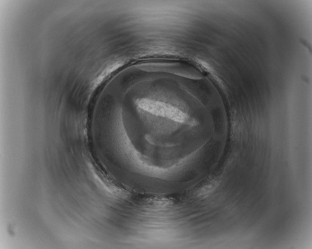 X0000099380443200805151622