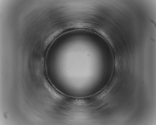 X0000099380445200805151622