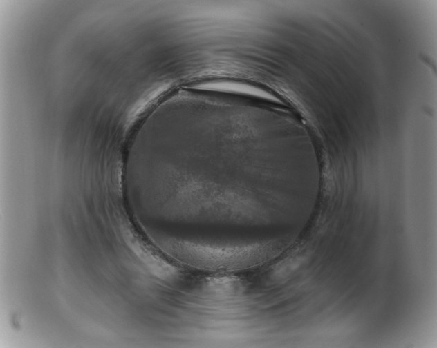 X0000099380446200805151622