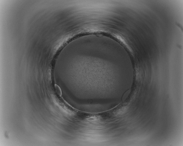 X0000099380447200805151622