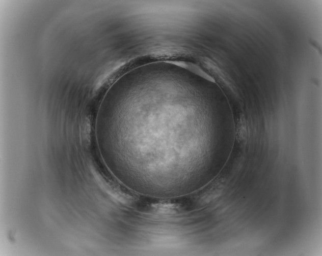 X0000099380448200805151622