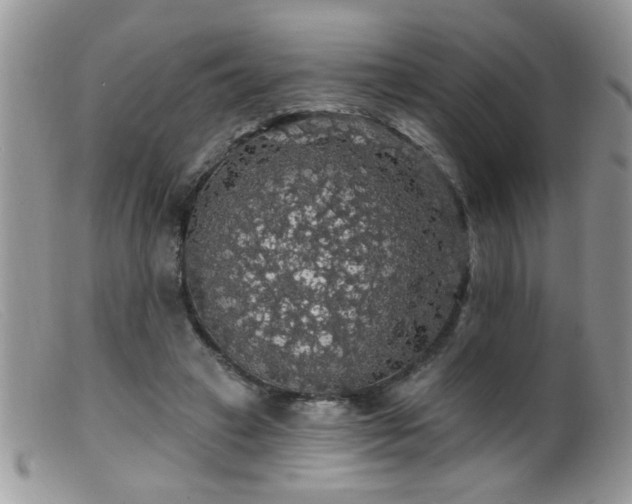 X0000099380449200805151622